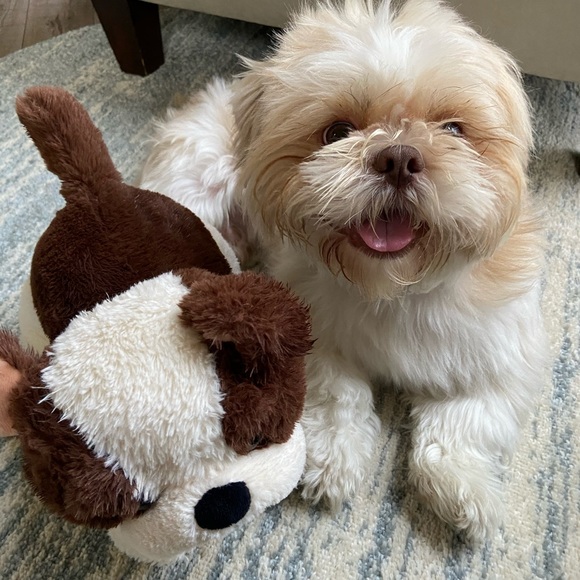 Meet your Posher, Miranda - Picture 1 of 1